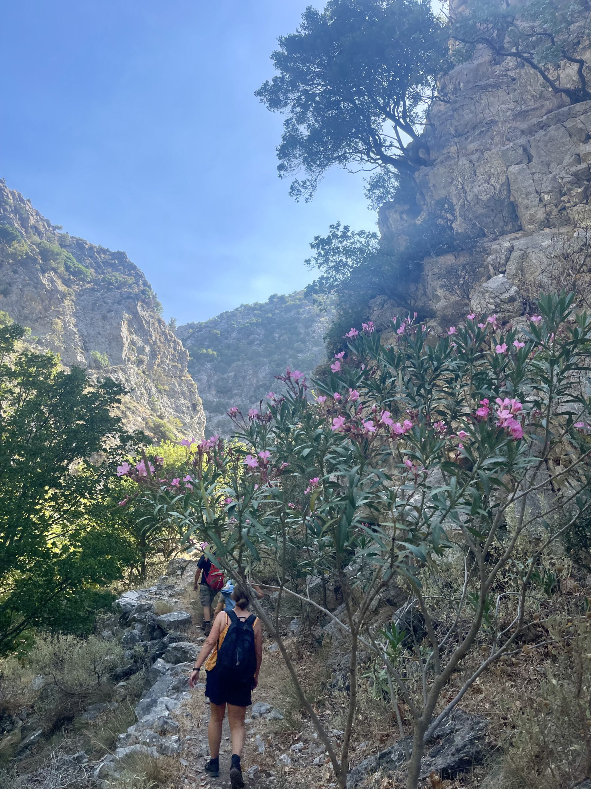 Yoga und Tanz Hannover